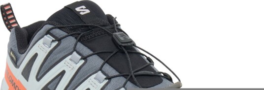 Salomon Xa Pro 3D V9 Gtx   Grey   43 1/3