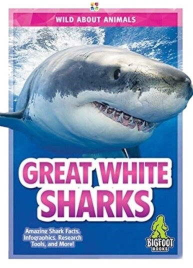 Great White Sharks Great White Sharks