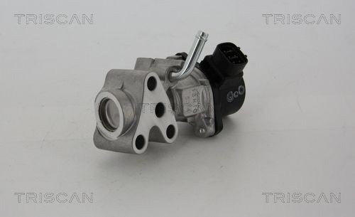 EGR-ventil TRISCAN 8813 13028