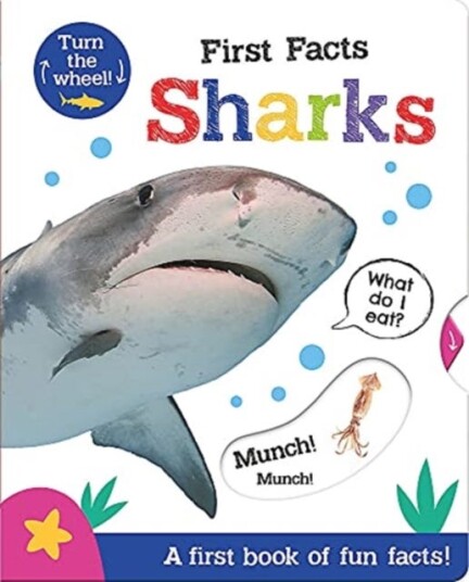 First Facts Sharks Av Georgie Taylor