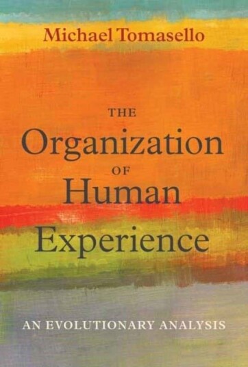 The Organization of Human Experience