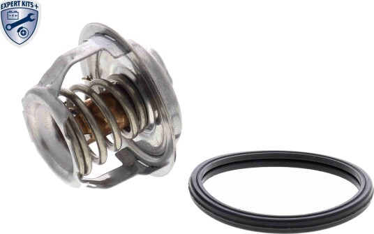 Termostat ACKOJA A63 99 0004