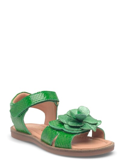 Bisgaard Bisgaard Agnes   Green   30