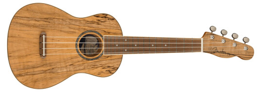 Fender Zuma Concert Uke Spalted Maple Fender Zuma Concert Uke Spalted Maple