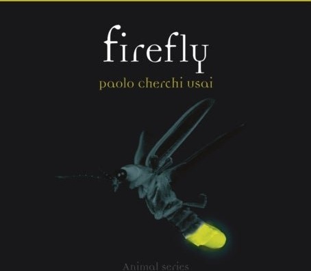 Firefly Firefly