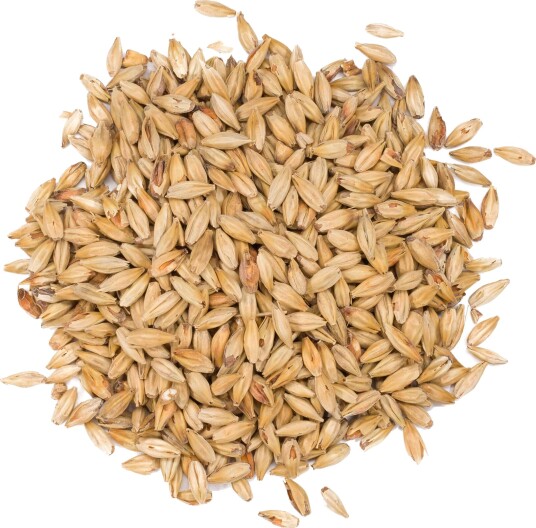 Viking Malt Red Ale 1 kg Knust 60-80 EBC Viking Malt