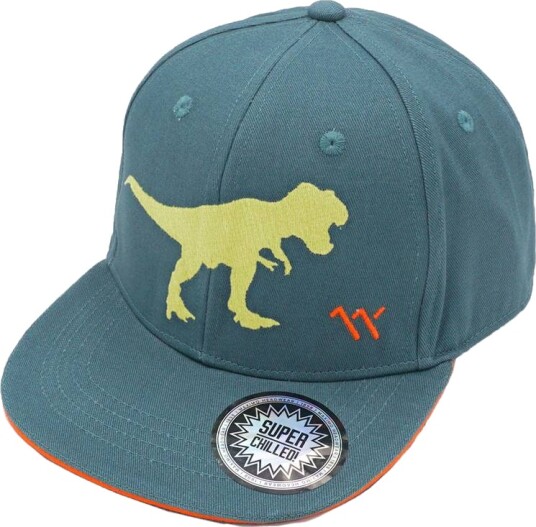 Maximo Kids Boy Cap Dino