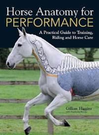 Horse Anatomy For Performance Av Gillian Higgins