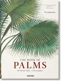 Martius. The Book Of Palms Av H. Walter Lack