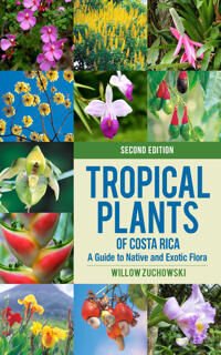 Tropical Plants Of Costa Rica Av Willow Zuchowski Tropical Plants Of Costa Rica Av Willow Zuchowski