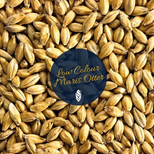 Low Colour Maris Otter 1 kg hel 2,5   4,5 EBC   Simpsons Malt