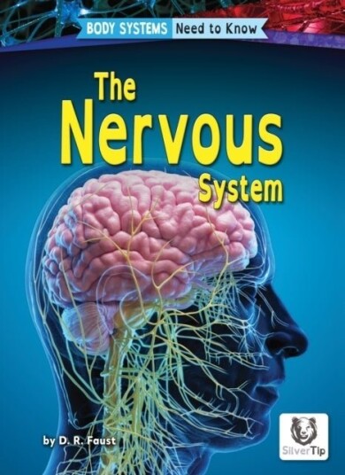 Nervous System Nervous System