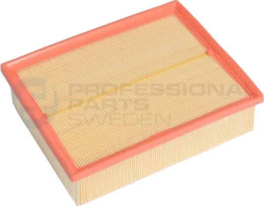 Luftfilter Professional Parts 24023046