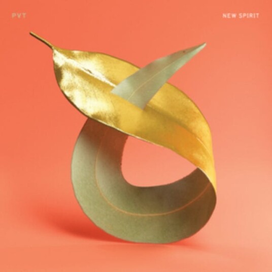 PVT New Spirit LP/Vinyl PVT New Spirit LP/Vinyl