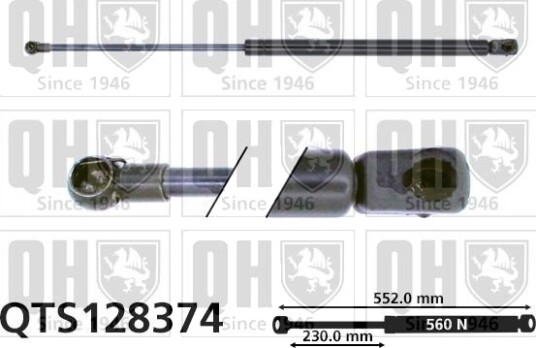 QUINTON HAZELL QTS128374 Baklukedemper