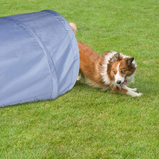Hundetunnel agility 2m Hundetunnel agility 2m