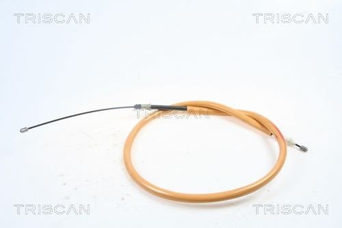 Bremsewire TRISCAN 8140 25197
