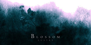 Lustre Blossom Vinyl