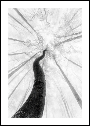 The winter Plakat Plakat / 21x30cm The winter Plakat Plakat / 21x30cm