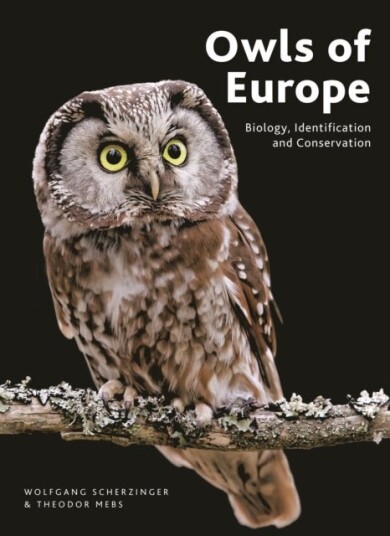 Owls of Europe Owls of Europe
