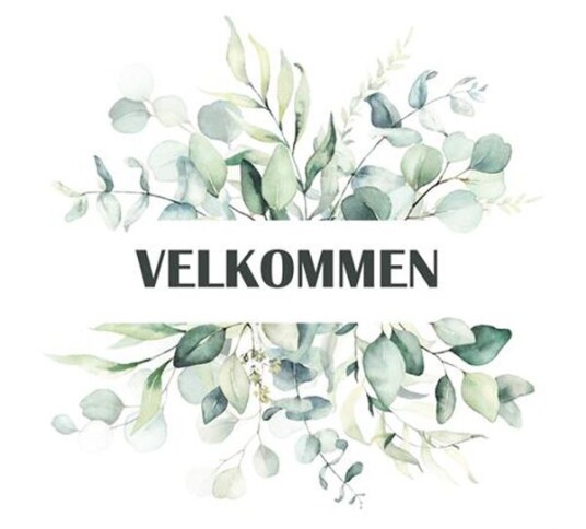 Lunsj serviett Velkommen fra BC Home Lunsj serviett Velkommen fra BC Home