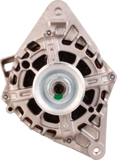 Dynamo WALKER WAL01420