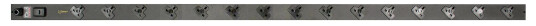 VERTIV Geist Rack PDU, Basic, 0U,