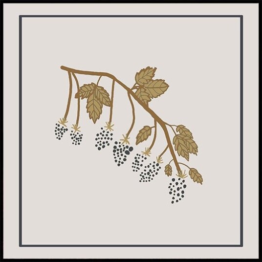 Blackberry Spring Plakat Plakat / 30x30cm