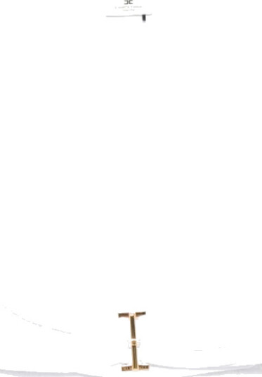 Elisabetta Franchi Dame Bluser & Skjorter Hvit M,