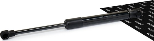 RIDEX 219G0174 Baklukedemper