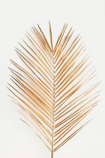 Malerifabrikken Poster Palm leaf gold 1632706-01-2 1619732-01-136 Malerifabrikken Poster Palm leaf gold 1632706-01-2 1619732-01-136