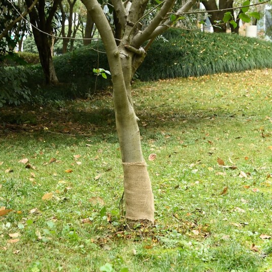Juterull 0,25x50 m 100% jute 200 gsm