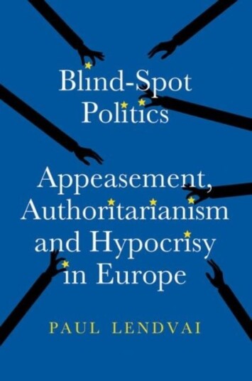 Blind Spot Politics