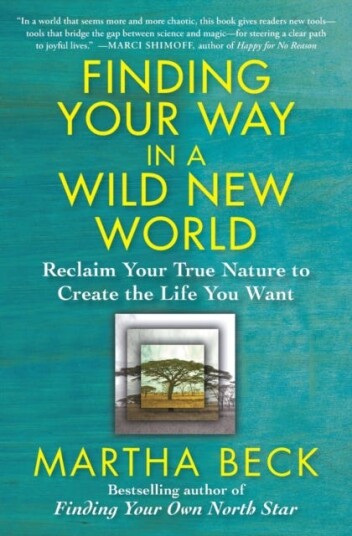 Finding Your Way in a Wild New World Reclaim Your True Nature to Create the Life You Want Finding Your Way in a Wild New World Reclaim Your True Nature to Create the Life You Want