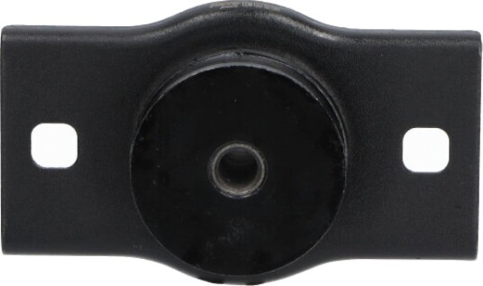 KAVO PARTS EEM 1007 Motorfeste KAVO PARTS EEM 1007 Motorfeste