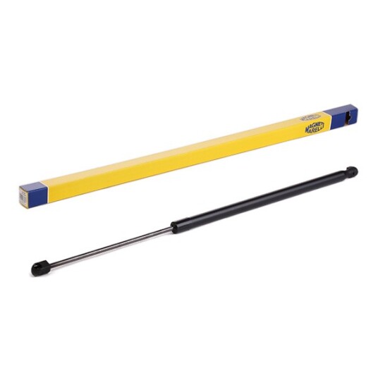 Baklukedemper MAGNETI MARELLI 430719105900