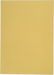 Elba 100091651 A4 Fotoark Kartong Gult 100 Ark 250 G/M² 230 Mm