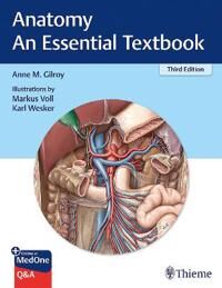 Gilroy Anne M Anatomy - An Essential Textbook