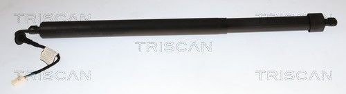 Baklukedemper TRISCAN 8710 28311