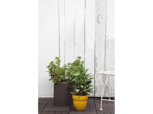 Rund Plantekasse/Lokk Rød Rattan 28 X 28,3 Cm Keter Rund Plantekasse/Lokk Rød Rattan 28 X 28,3 Cm Keter