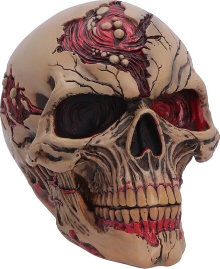 Nemesis Now Hall Of Horrors Zombie Skull