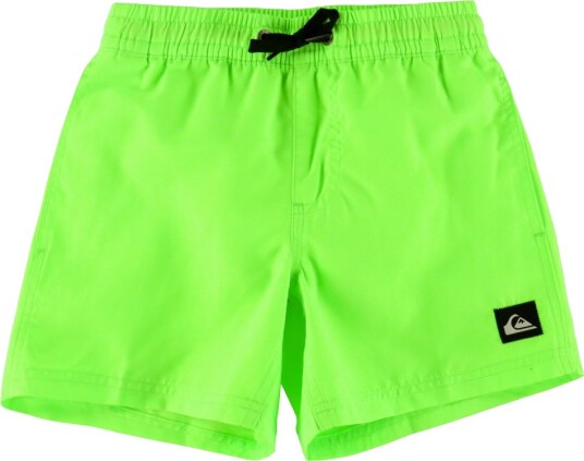 Quiksilver Badeshorts Hverdagsvolley Green Gekko Quiksilver 16 år 176 Badetøy Grønn