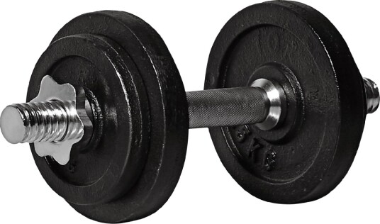 ENDURANCE  DUMBBELL 10 KG SET   BLACK   black onesize