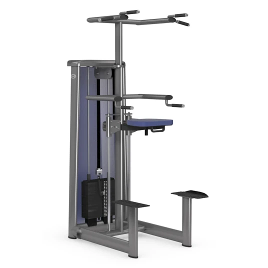 gym80 Sygnum Supported Chin Up/Dips Machine