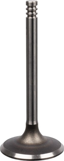 Innløpsventil FEBI BILSTEIN 21040