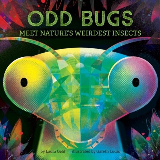 Odd Bugs A Curious Critters Board Book Odd Bugs A Curious Critters Board Book
