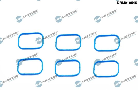 Pakkningssett innsugningsmanifold Dr.Motor Automotive DRM01954S