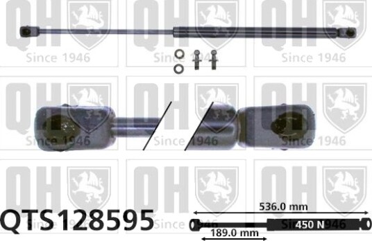 QUINTON HAZELL QTS128595 Baklukedemper