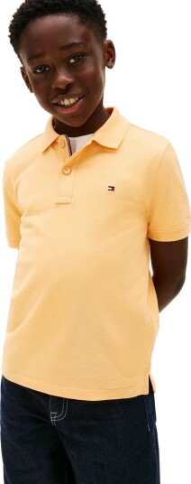 Tommy Hilfiger Flag Polo Ss Coral 104