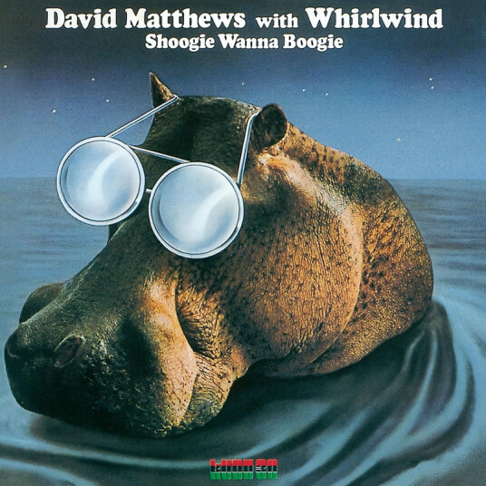 David Matthews Shoogie Wanna Boogie CD